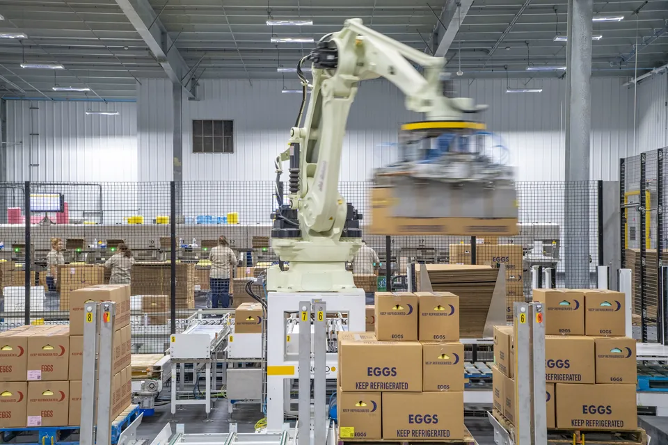 A robot arm stacking cartons onto pallets at the end of a packing line, workers at the line behind it